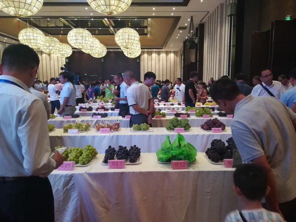 IMG_20190803_093537.jpg